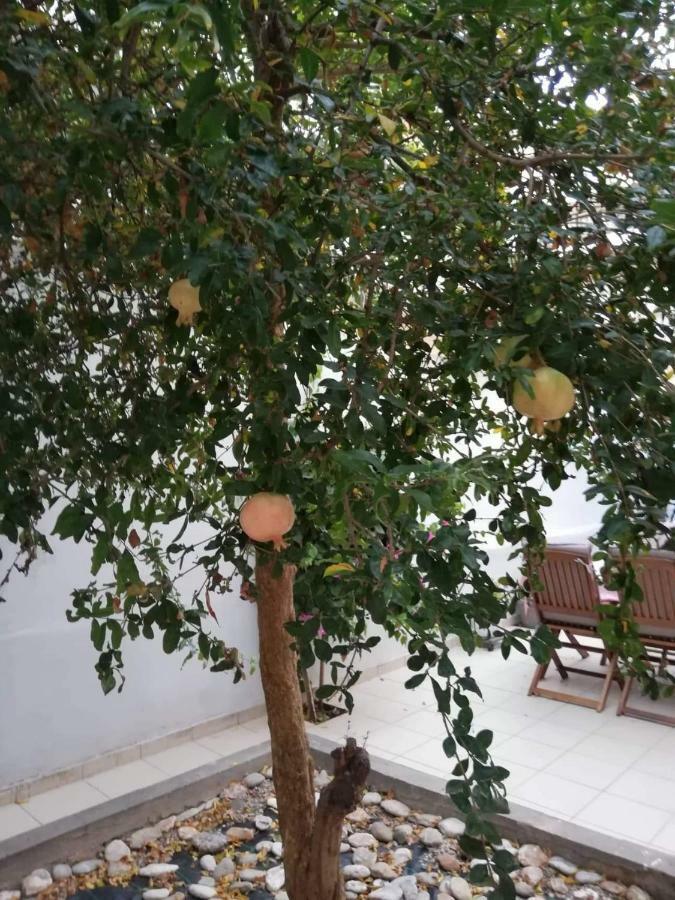 Appartement Pomegranate Héraklion